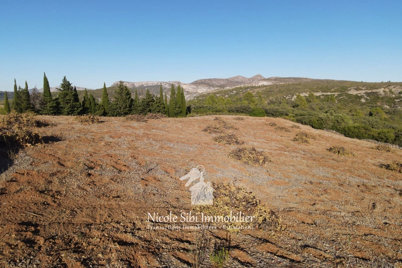 2 - venta terreno tautavel pirineos orientales francia
