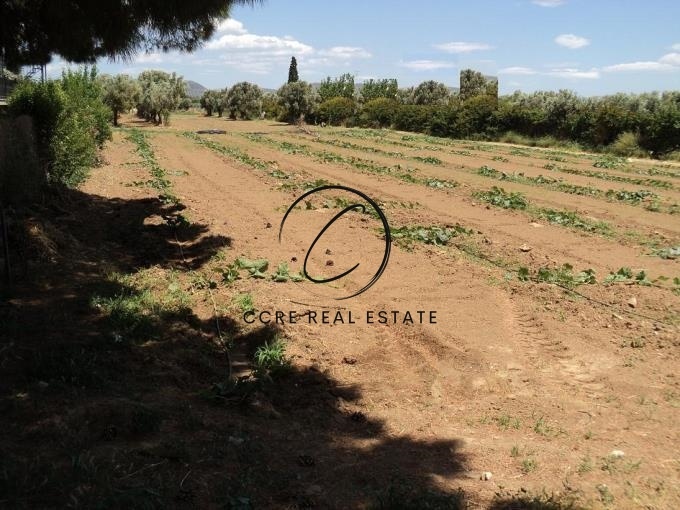 2 - venta terreno marathon ática grecia