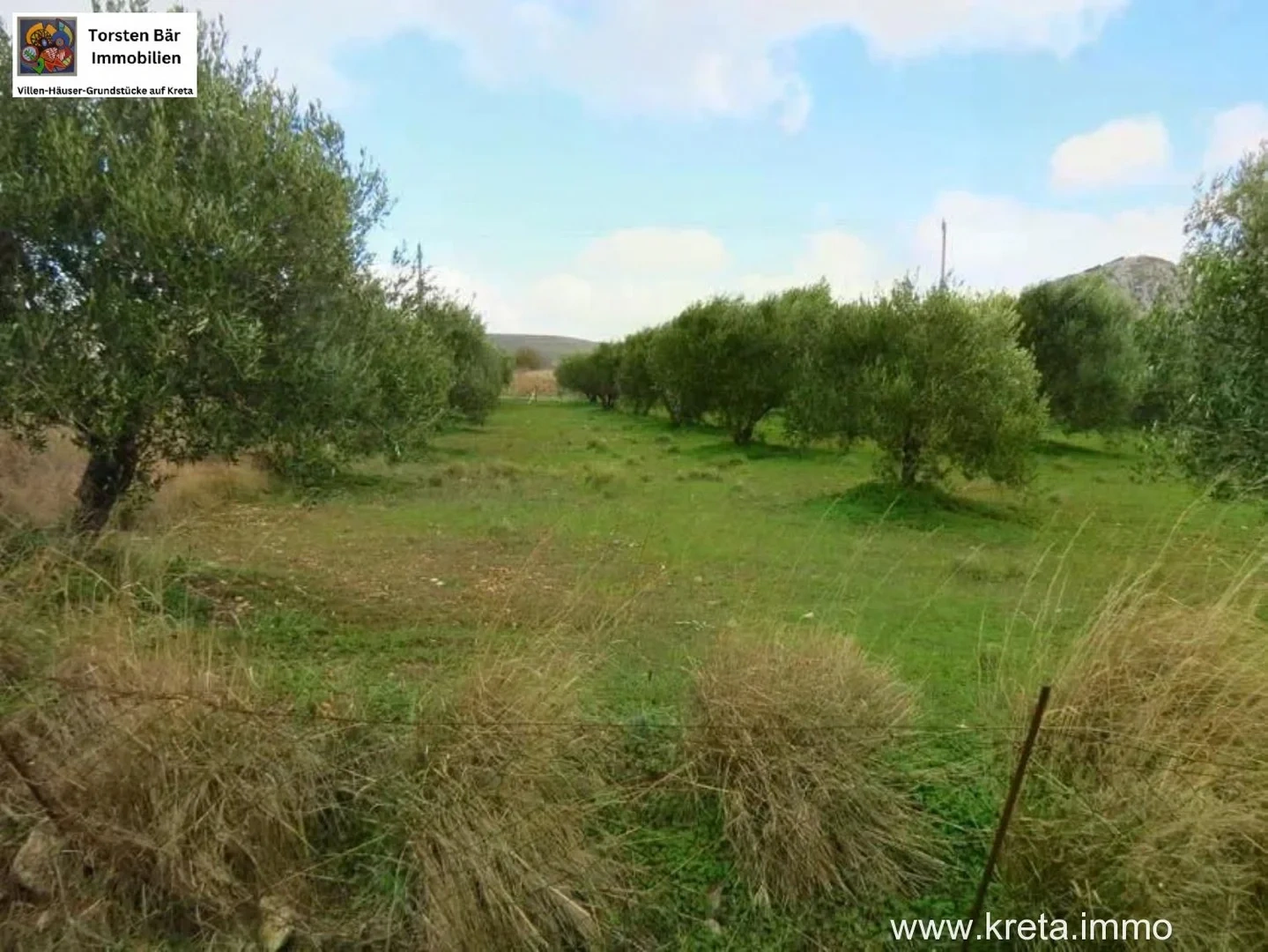 2 - vente terrain chandras crète grèce