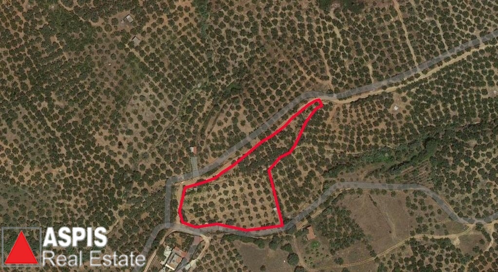 2 - vente terrain vue mer gargaliánoi péloponnèse grèce
