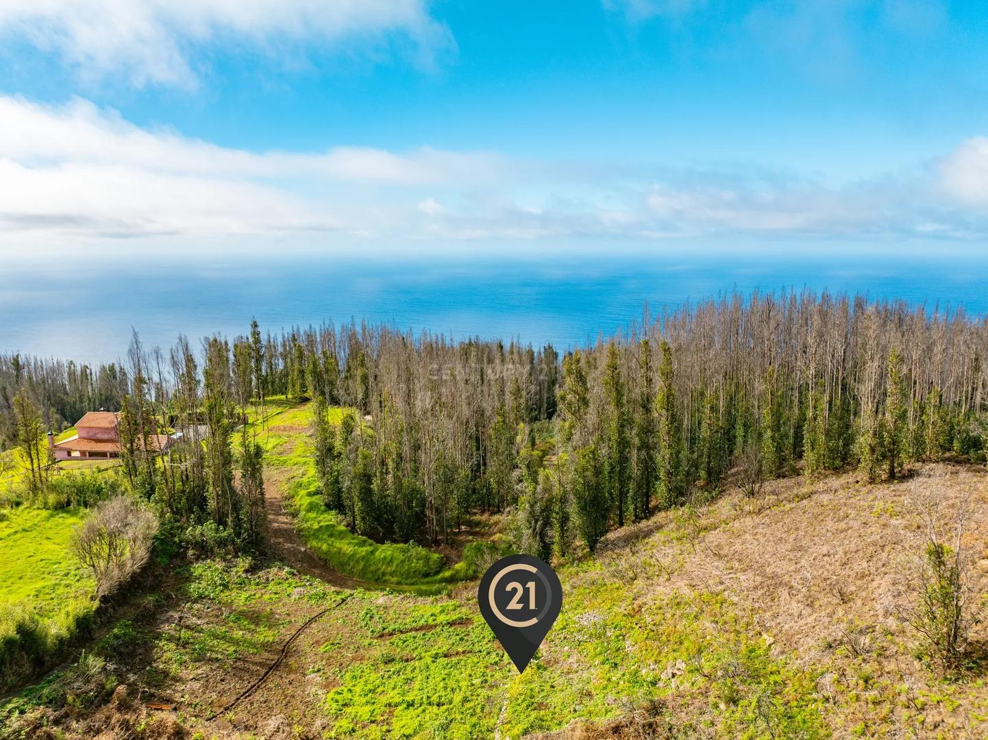 1 - plot of land for sale in porto moniz madeira portugal