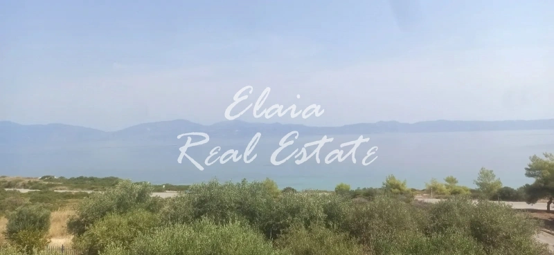 1 - venta casa a pie de playa theológos grecia central grecia