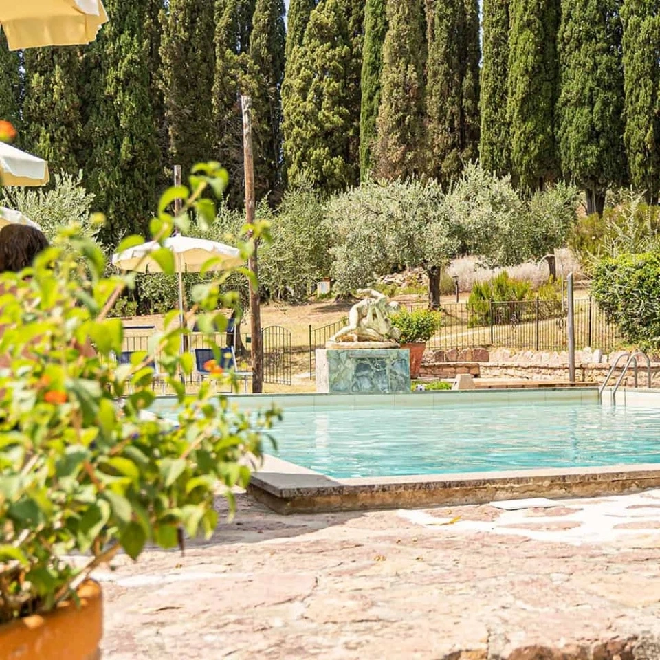2 - business for sale in sassetta tuscany italy