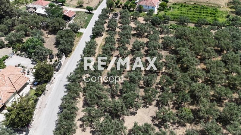 2 - vendita terreno zante isole ioniche grecia