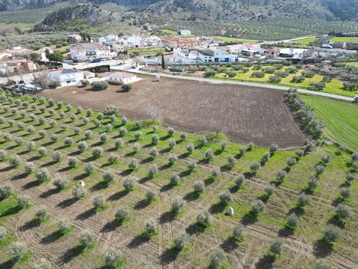 2 - verkauf grundstück cuevas del becerro andalusien spanien