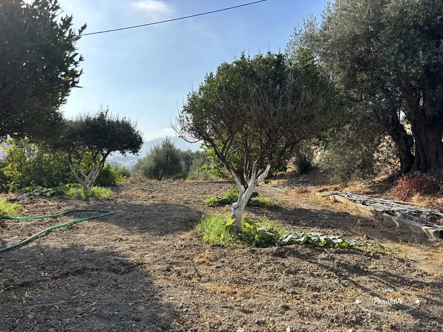 2 - plot of land for sale in leros south aegean greece