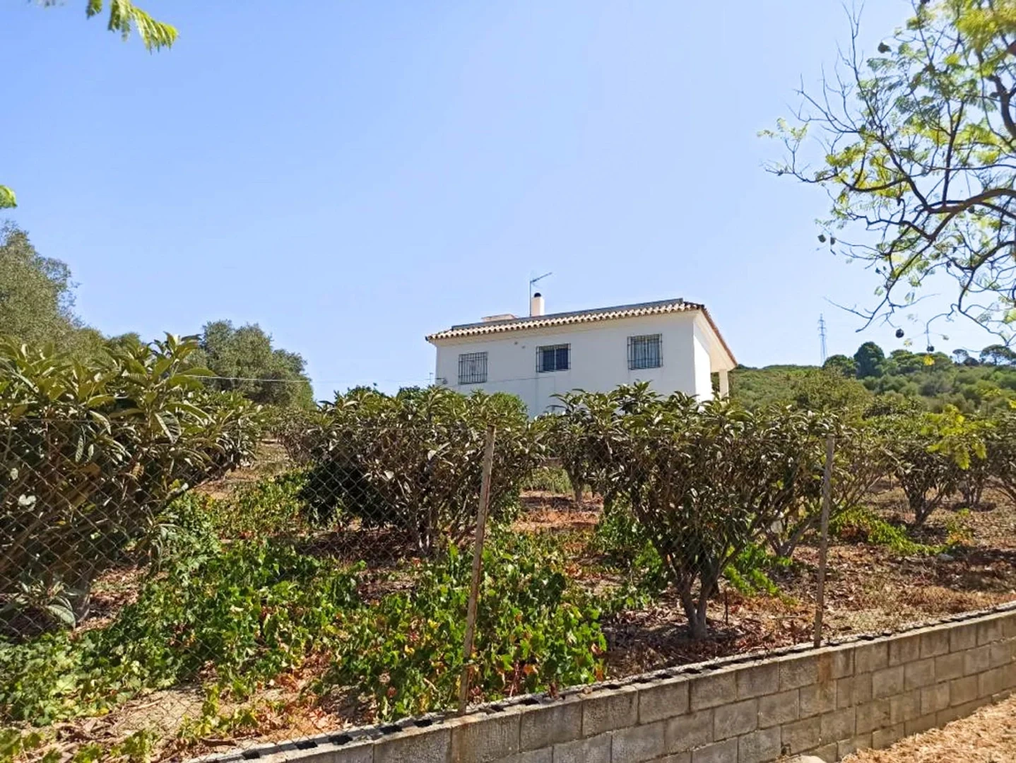 1 - verkoop landgoed estepona - costa del sol andalusië spanje