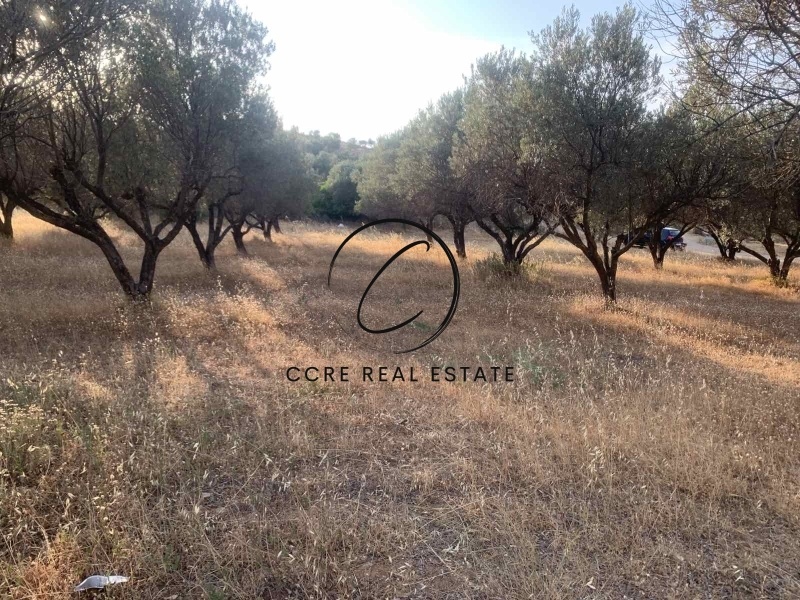 2 - vente terrain palaia fokaia attique grèce