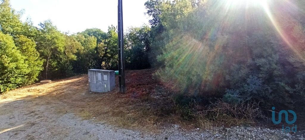 1 - venta terreno coruche alentejo portugal