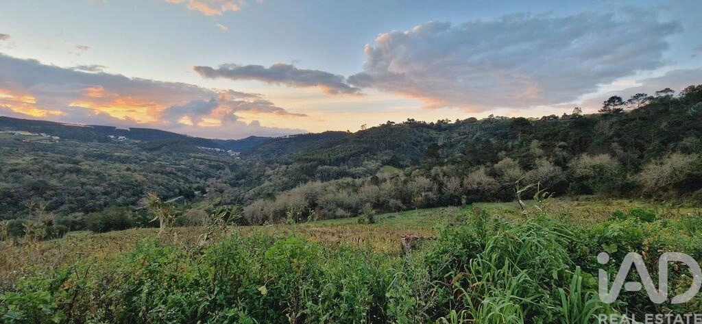 2 - plot of land for sale in mafra lisbon region portugal