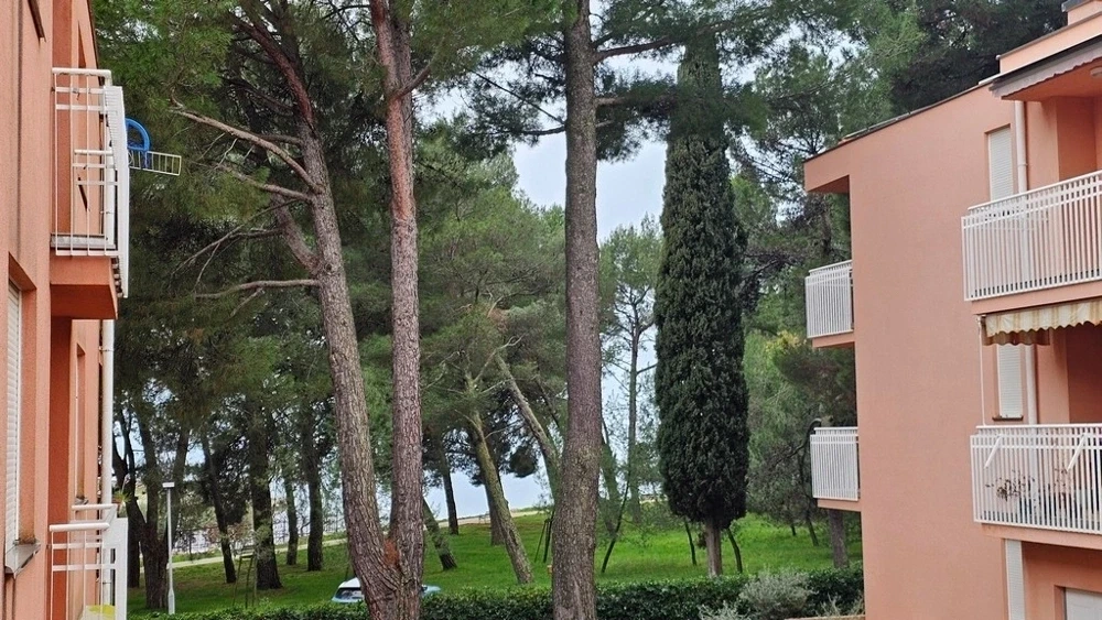 1 - venta apartamento frente al mar novigrad istria croacia