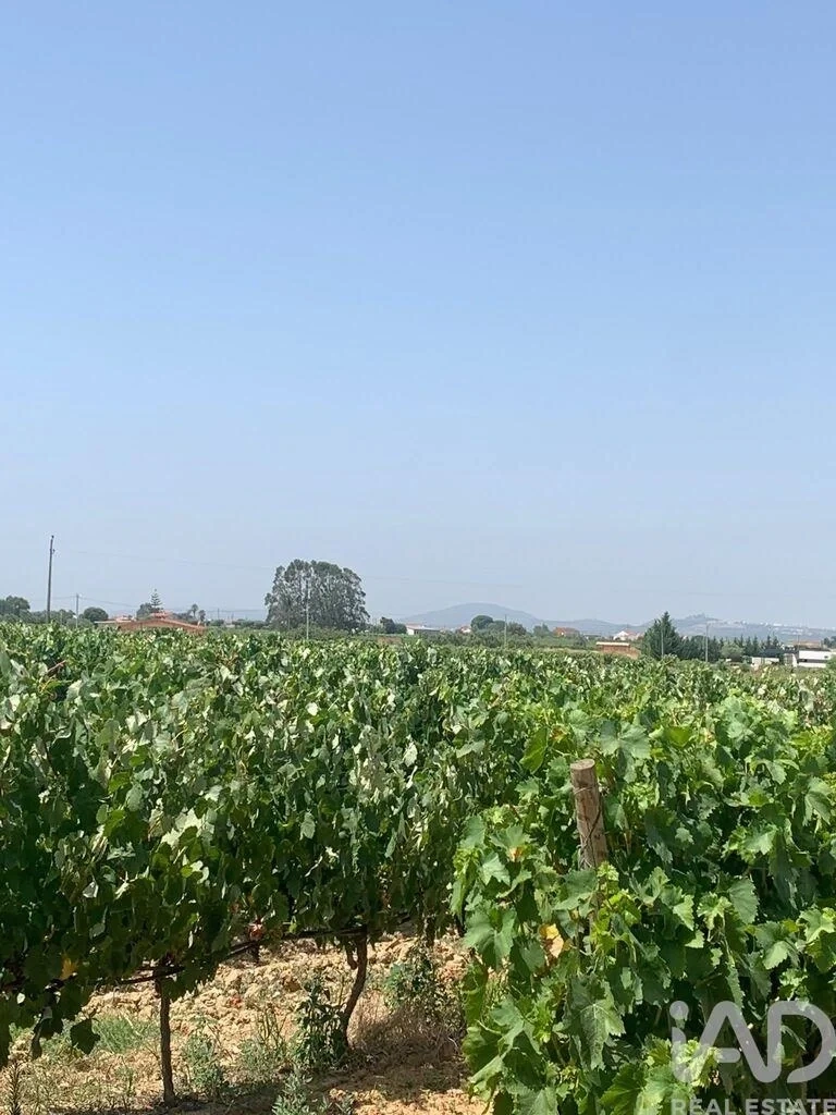 2 - plot of land for sale in palmela lisbon region portugal