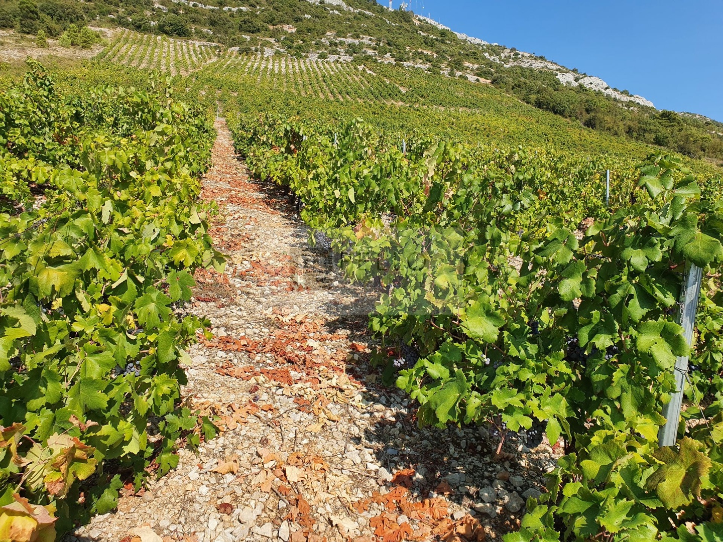 2 - plot of land for sale in orebić dubrovnik-neretva croatia