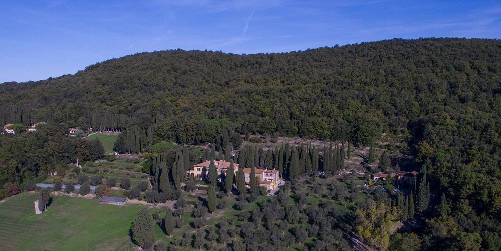 1 - business for sale in sassetta tuscany italy