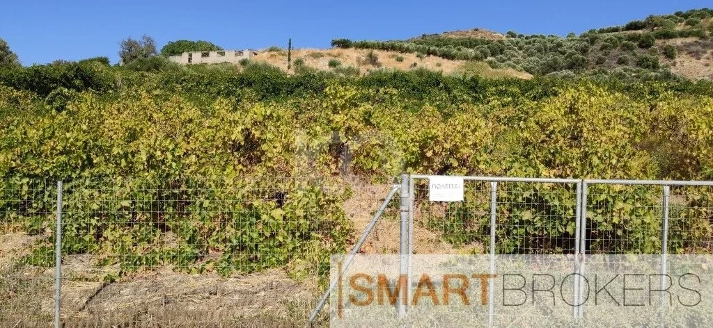 2 - vente terrain temenos crète grèce