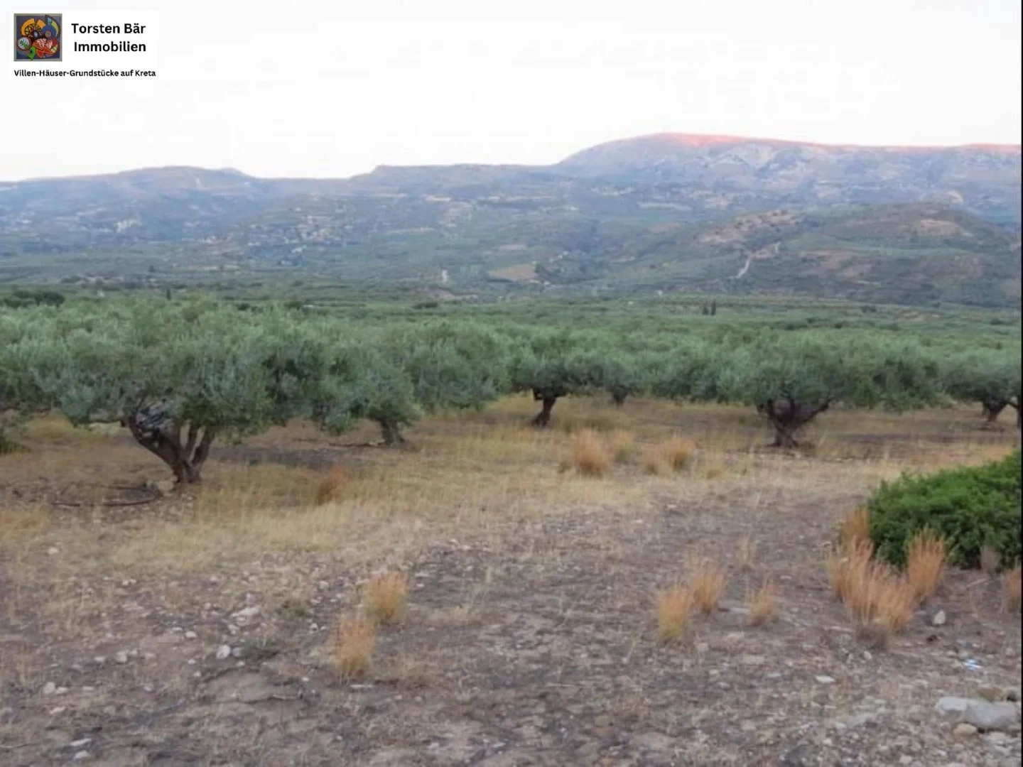 2 - vendita terreno lithínes creta grecia
