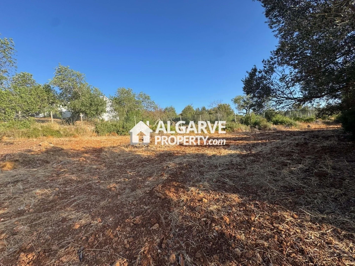 1 - plot of land for sale in boliqueime algarve portugal