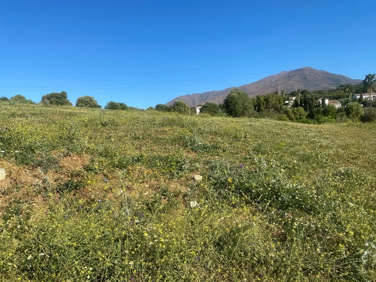 Terreno vista al mar de 6 000 m²