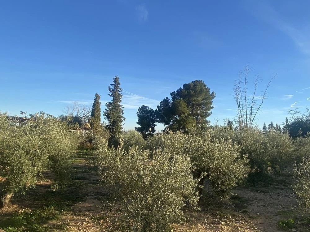 2 - villa for sale in murcia region of murcia spain