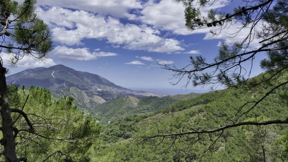 1 - verkauf grundstück meerblick coin andalusien spanien