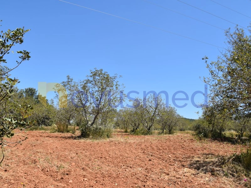 1 - plot of land for sale in paderne algarve portugal