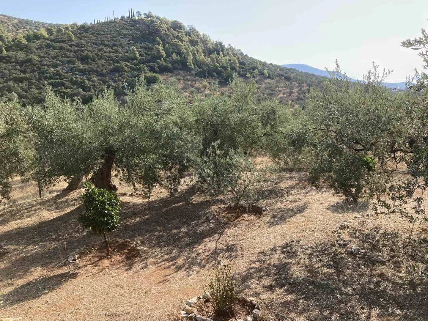 2 - venta casa palaiá epídavros peloponeso grecia