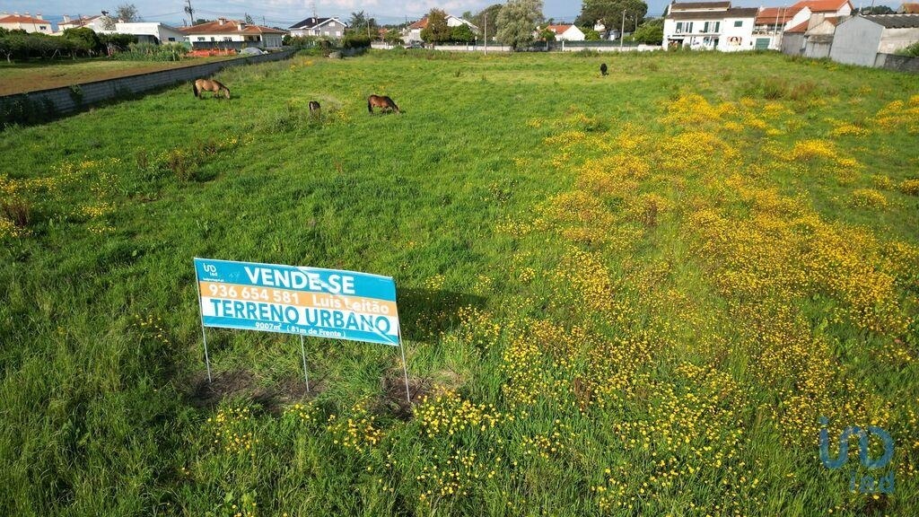 1 - vente terrain oliveirinha région centre portugal