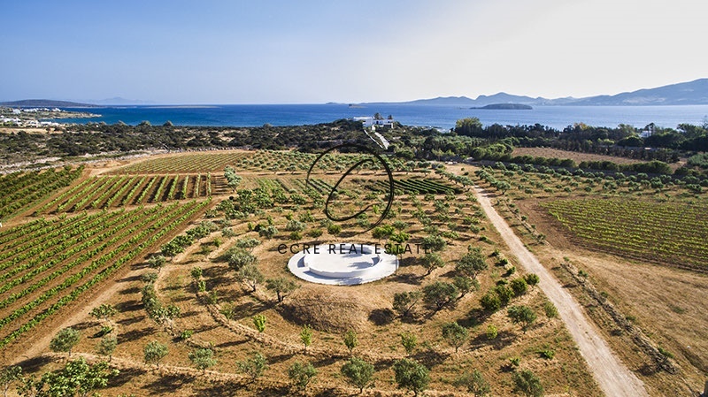 1 - vente terrain vue mer paros - cyclades egée méridionale grèce