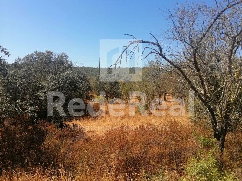2 - vente terrain salir algarve portugal