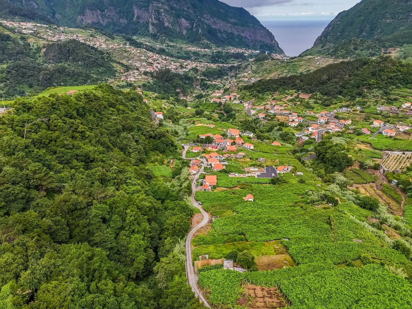 2 - plot of land for sale in são vicente madeira portugal