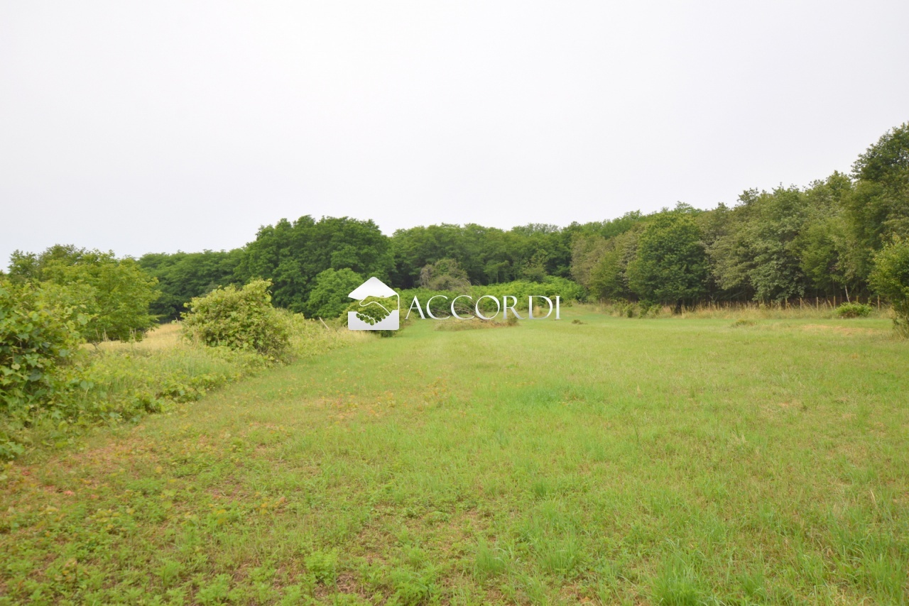 Terreno de 2 000 m²