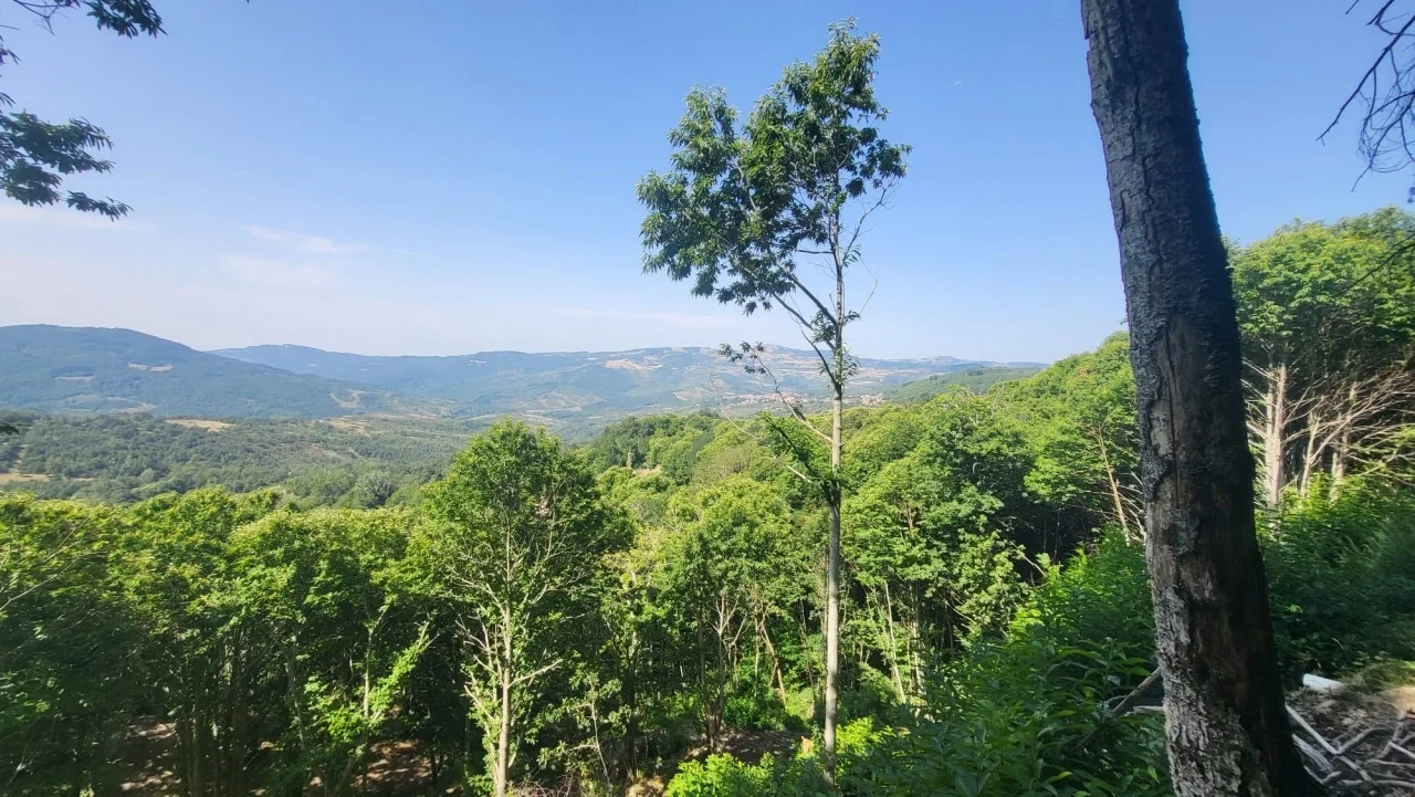 1 - house for sale in santa fiora tuscany italy