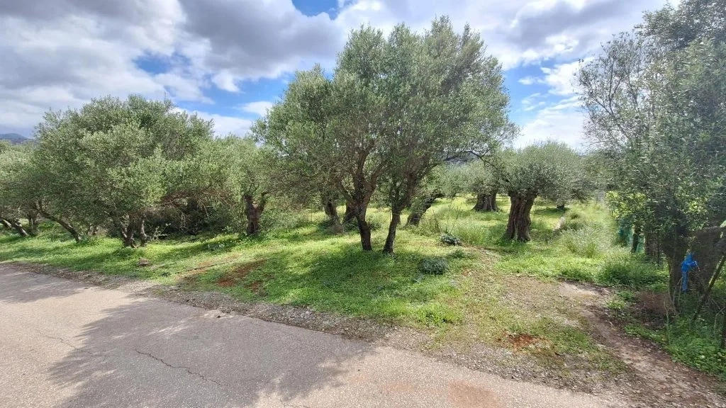 2 - plot of land for sale in agios nikolaos crete greece
