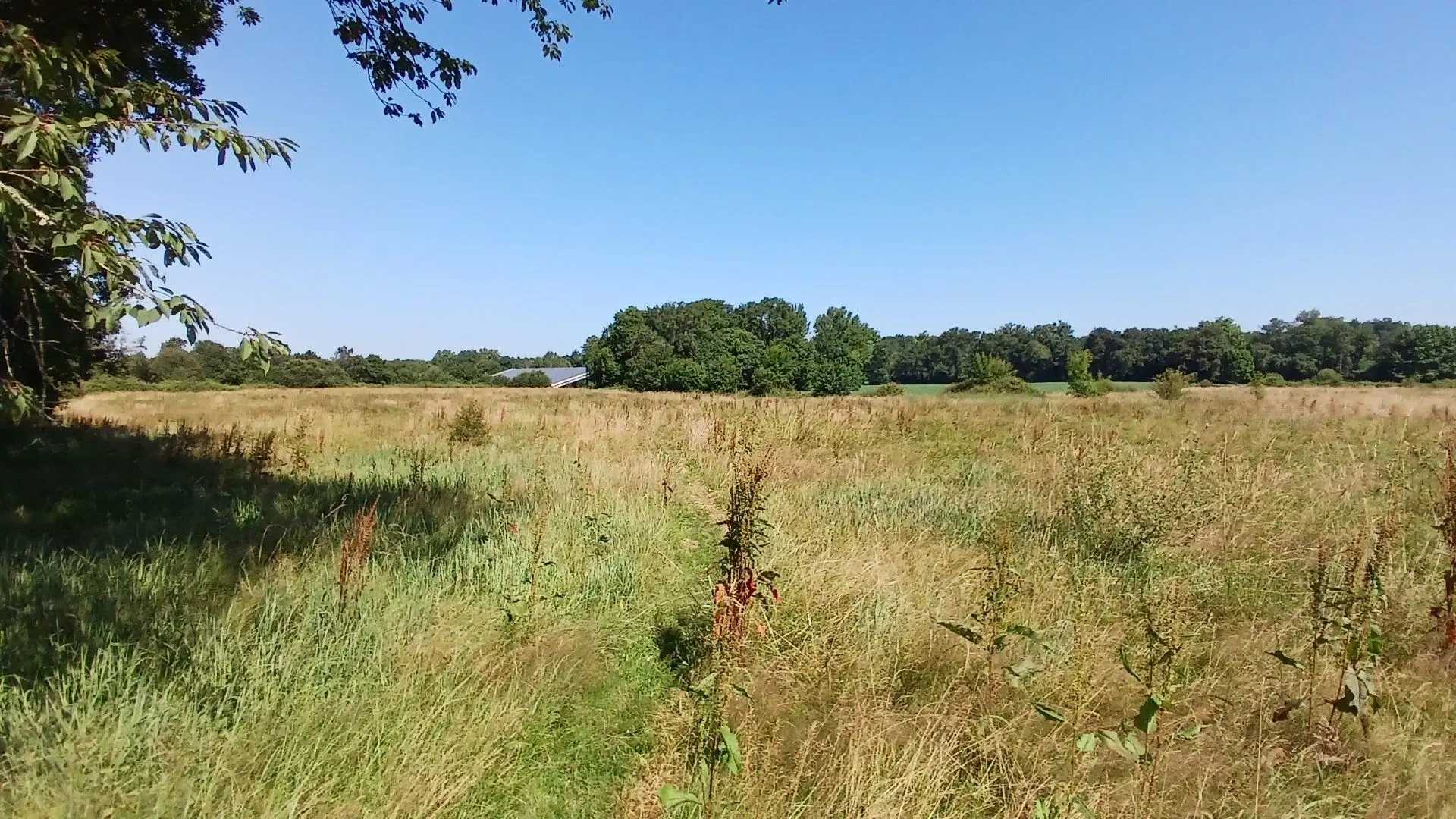 2 - venta casa mimbaste landas francia