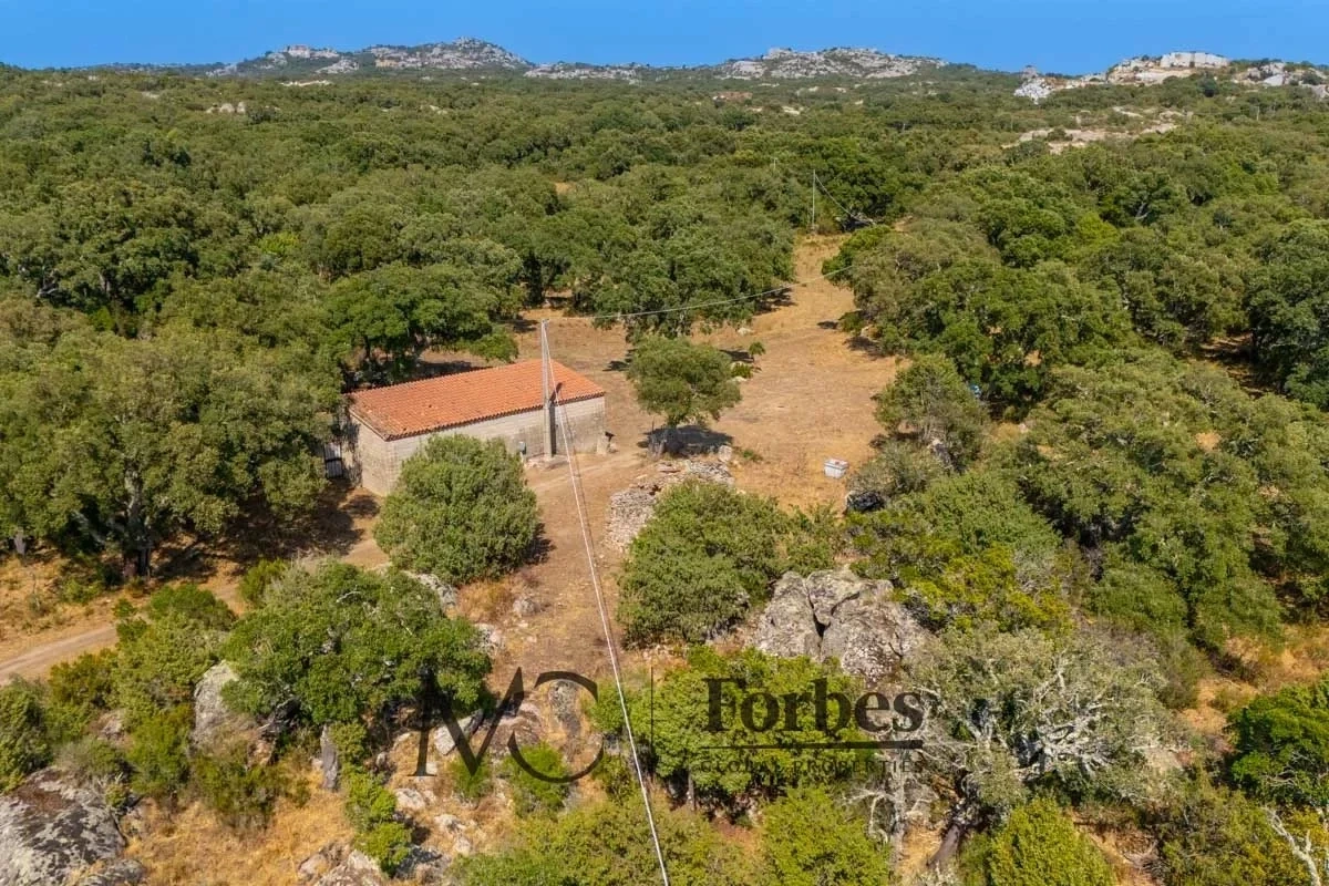 1 - venta apartamento calangianus cerdeña italia