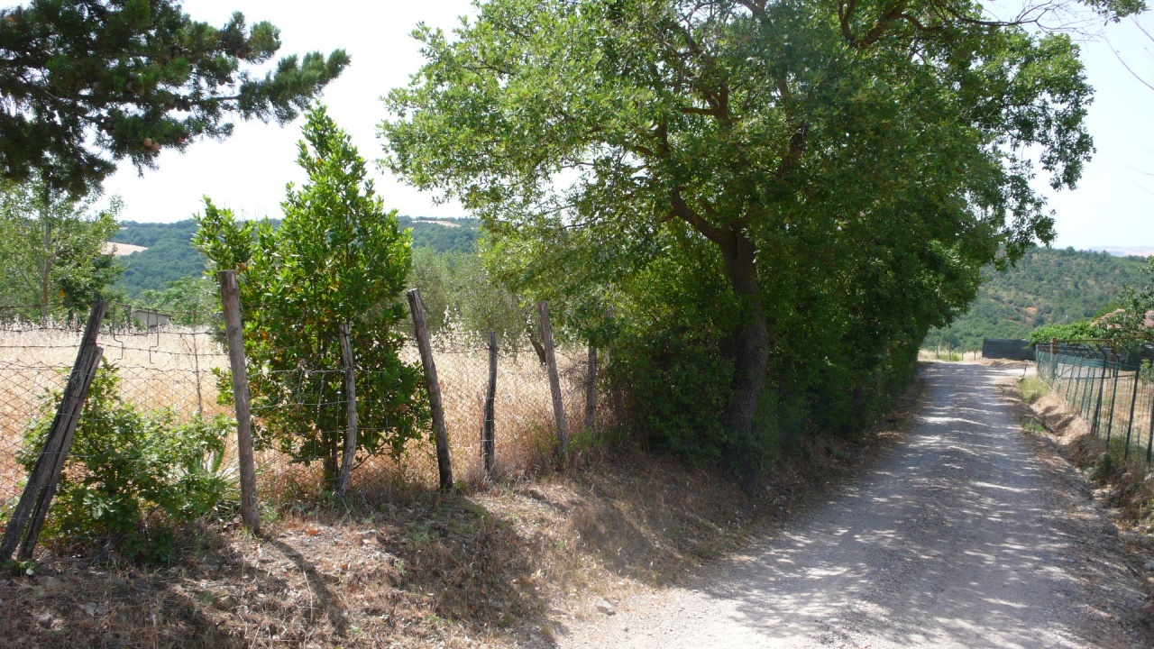 2 - venta casa radicofani toscana italia