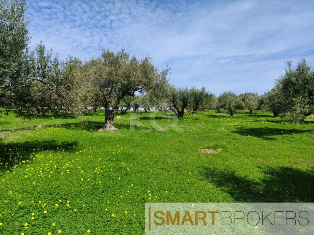 1 - vente terrain sísi crète grèce