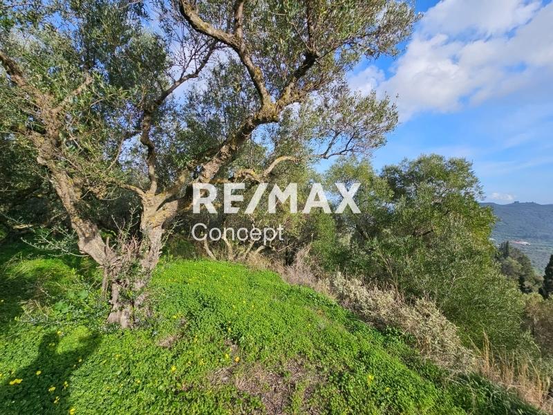 2 - venta terreno vista al mar zante islas jónicas grecia