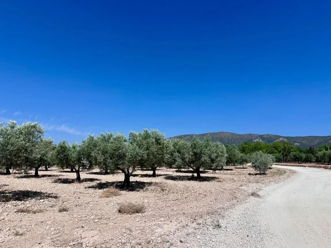 2 - venta terreno monóvar comunidad valenciana españa
