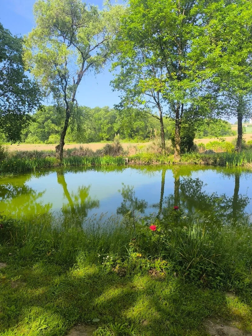 2 - venta casa sames pirineos atlánticos - costa vasca francia