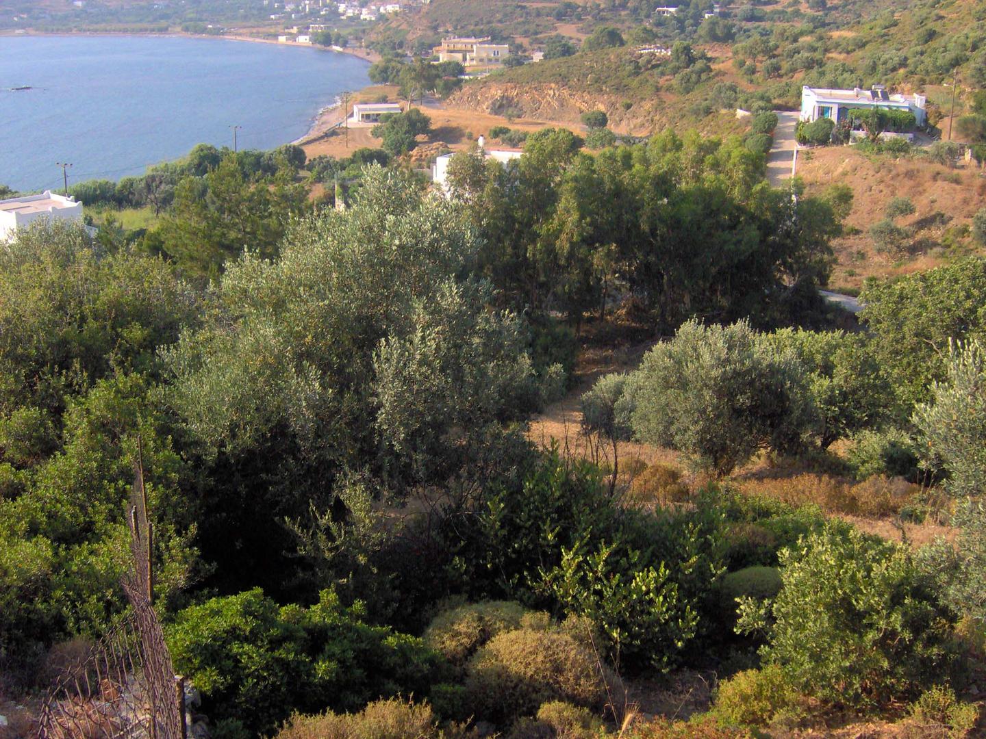 2 - verkauf grundstück meerblick leros südliche ägäis griechenland