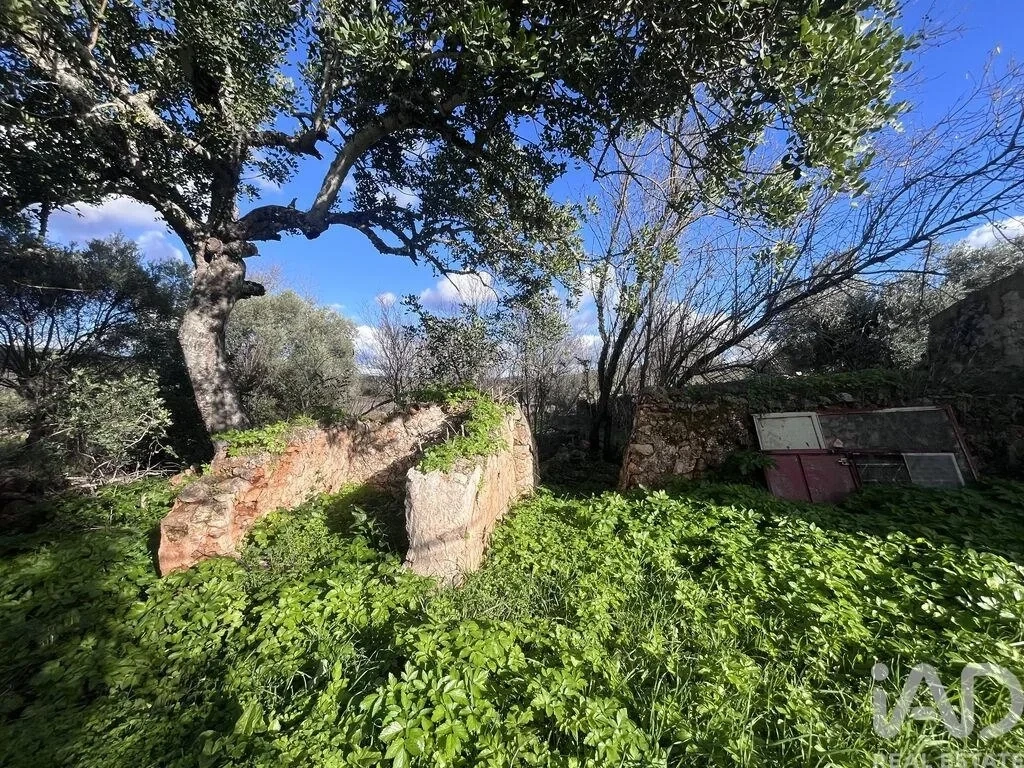 2 - verkauf grundstück querença algarve portugal