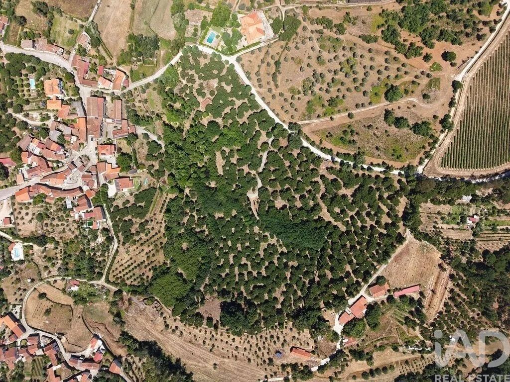 2 - venda terreno carregal do sal região do centro portugal