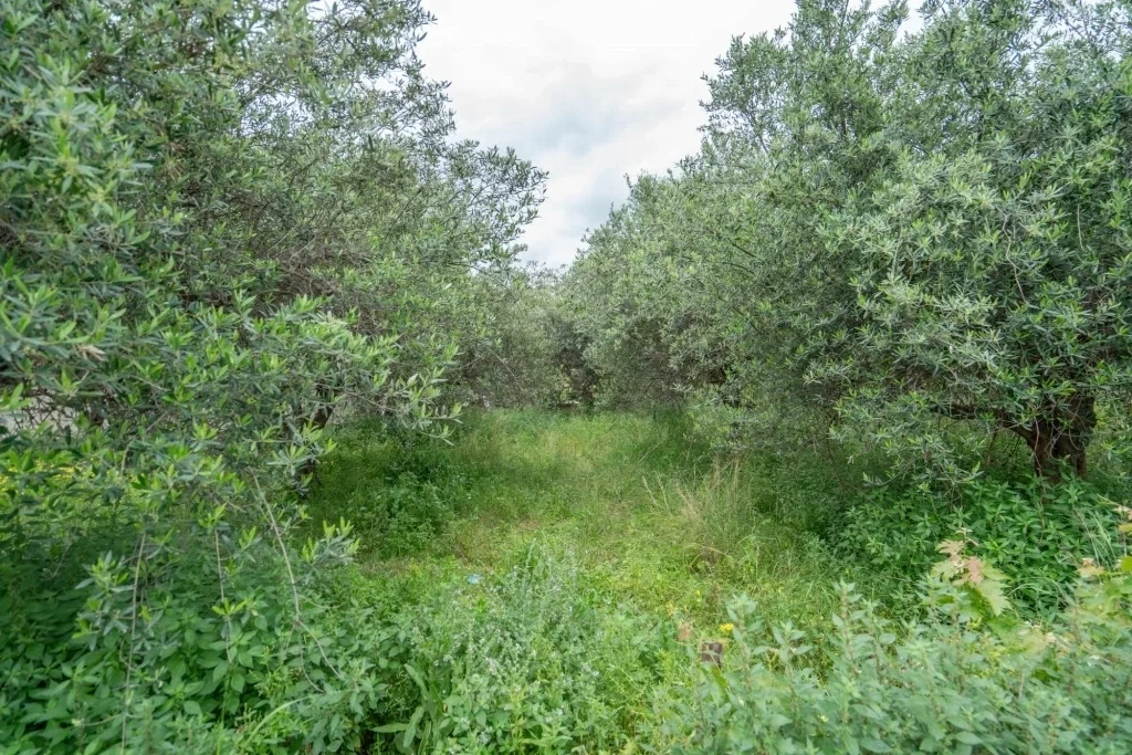 2 - vente terrain loutra crète grèce