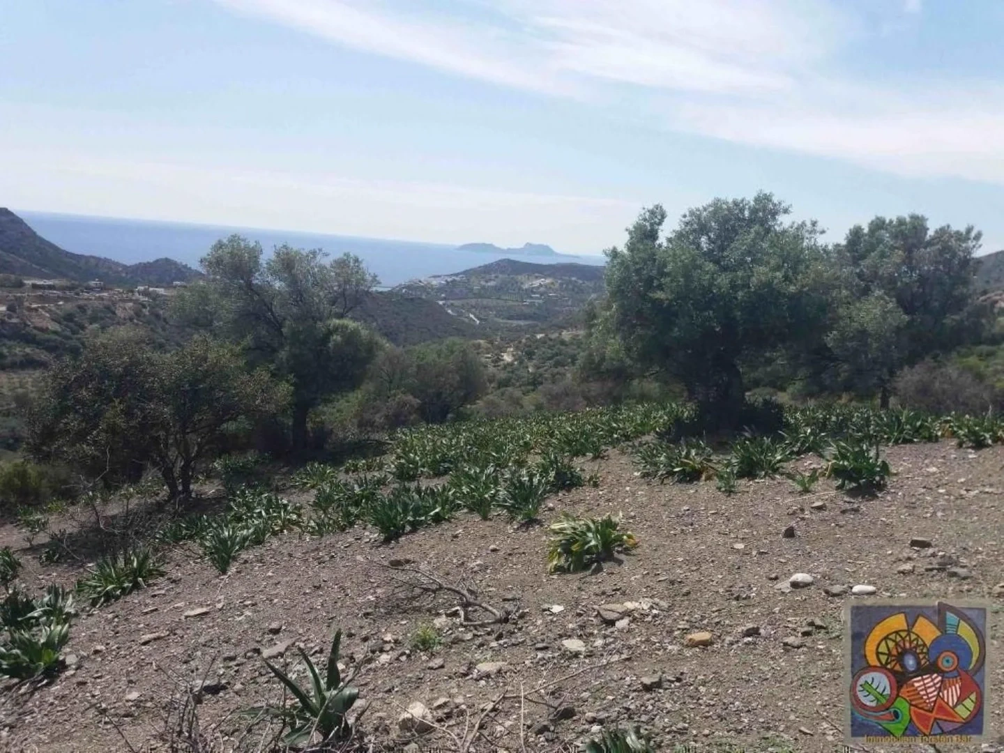 2 - vente terrain agia galini crète grèce