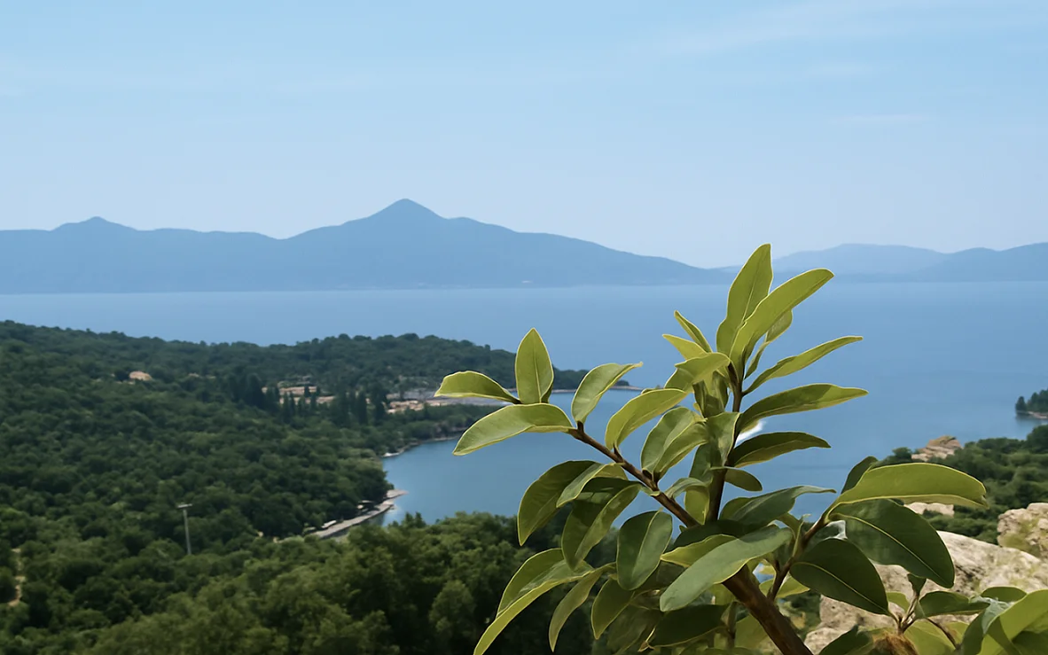 2 - vendita terreno vista mare nisída meganísi isole ioniche grecia