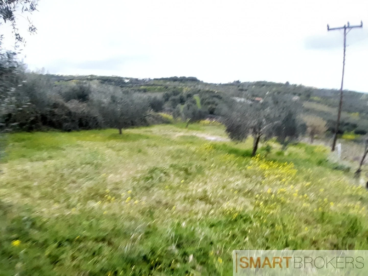 1 - vendita terreno skaláni creta grecia