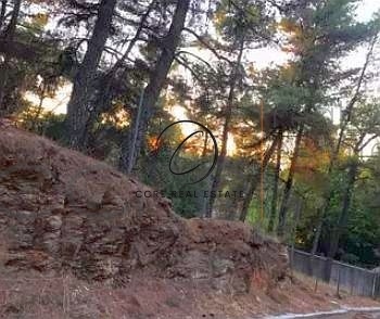 1 - vente terrain dionysos attique grèce