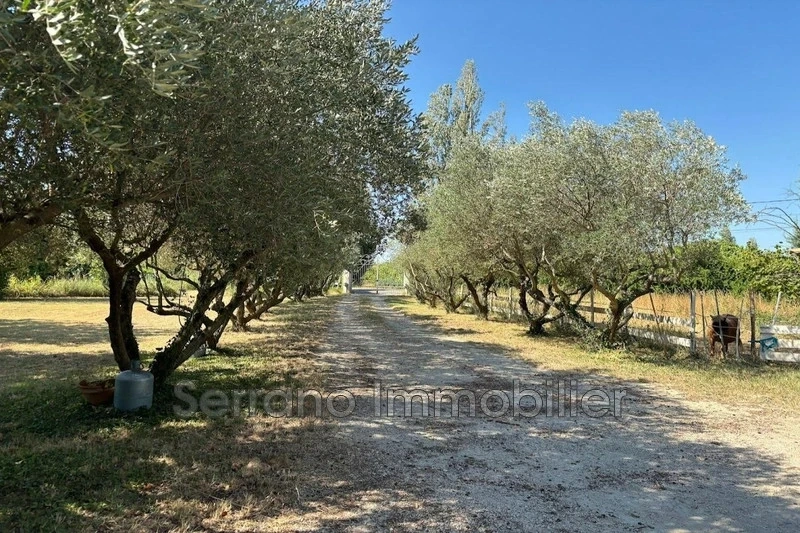1 - vendita casa beaucaire gard francia