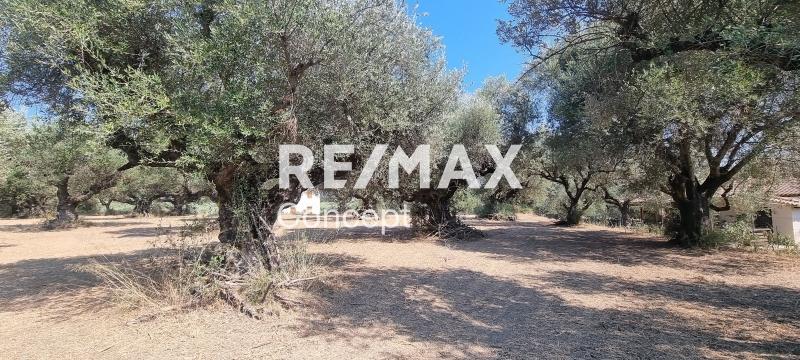 1 - vendita terreno zante isole ioniche grecia